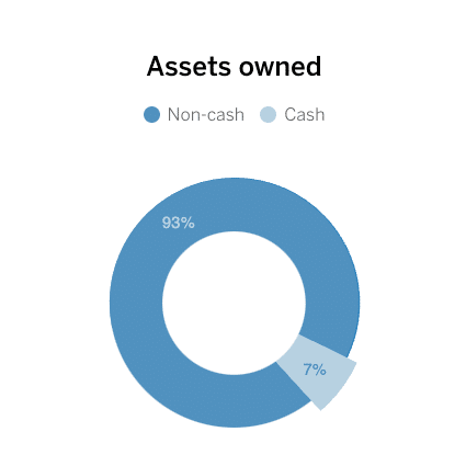 Assets Owned